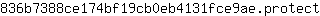 8***t
