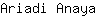 A***a
