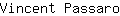 V***o