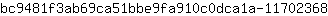 b***8