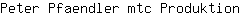 P***n