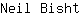 N***t