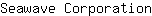 S***n