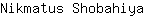 N***a