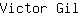 V***l