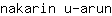 n***n