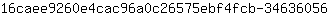1***6