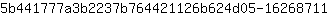 5***1