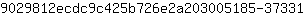 9***1