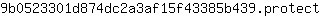 9***t