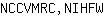 N***W