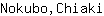 N***i