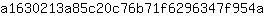 a***a