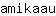a***u