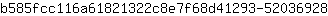 b***8