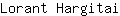 L***i