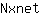 N***t