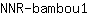 N***1