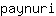 p***i