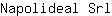 N***l