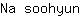 N***n