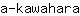 a***a