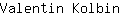 V***n