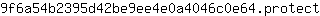 9***t