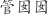 管***囡