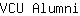 V***i