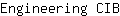 E***B