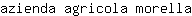 a***a