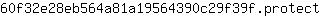 6***t