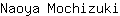 N***i