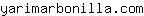 y***m