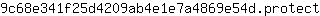9***t