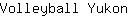 V***n