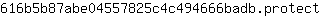 6***t
