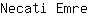 N***e
