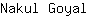 N***l