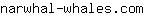 n***m