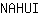 N***I