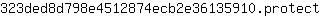 3***t