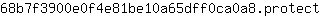 6***t