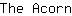 T***n