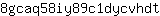 8***t