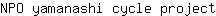N***t