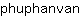 p***n