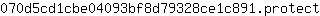 0***t