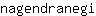 n***i